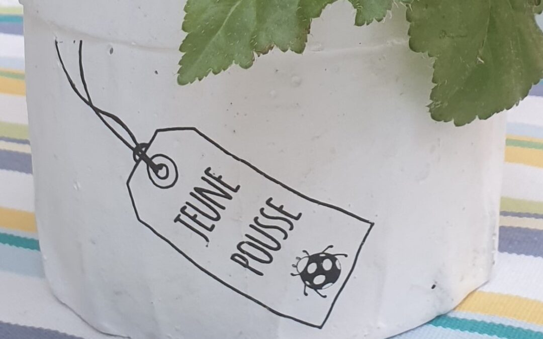 Les 7 clés du management